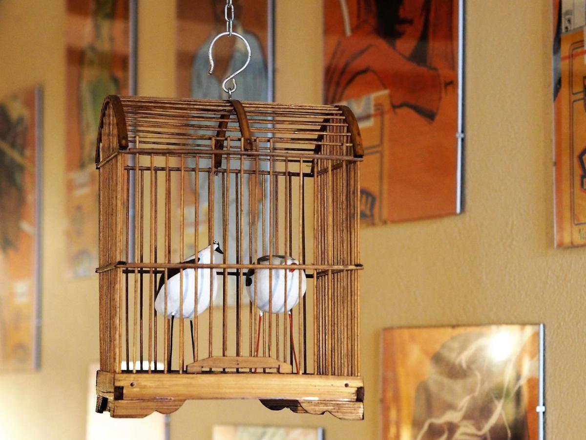 Chambres D'Hotes Le Secret Du Chat Cordes-sur-Ciel Bagian luar foto