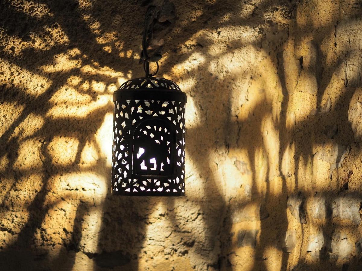 Chambres D'Hotes Le Secret Du Chat Cordes-sur-Ciel Bagian luar foto